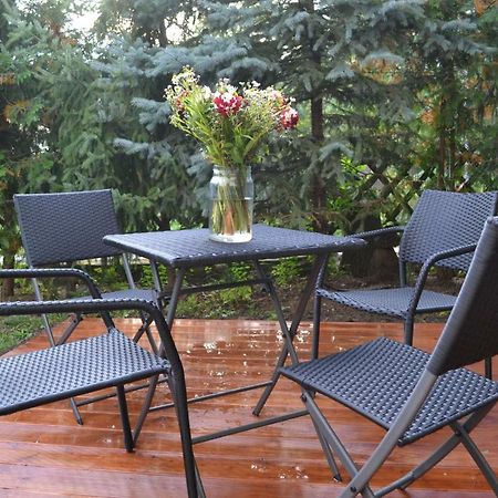 Ferienwohnung Alexander ワイマール エクステリア 写真